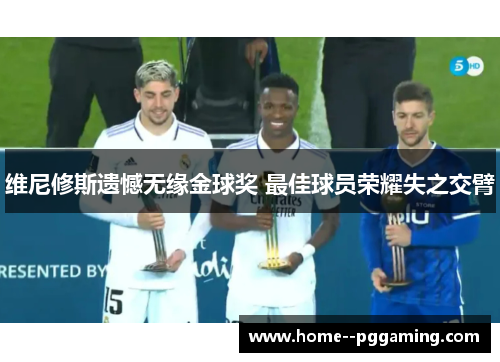 维尼修斯遗憾无缘金球奖 最佳球员荣耀失之交臂